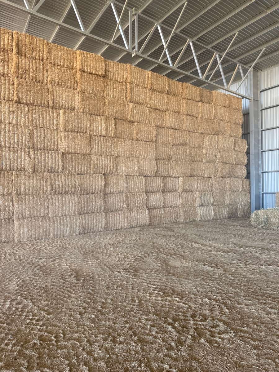 Batch 4990788000207866417 Image