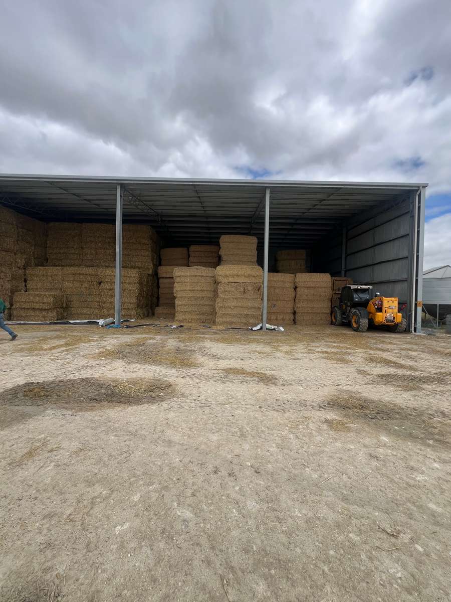 Batch 4990788000207367471 Image