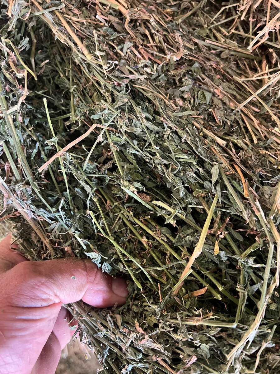 Batch 4990788000205552048 Image