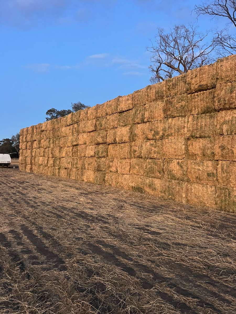 Batch 4990788000204916561 Image