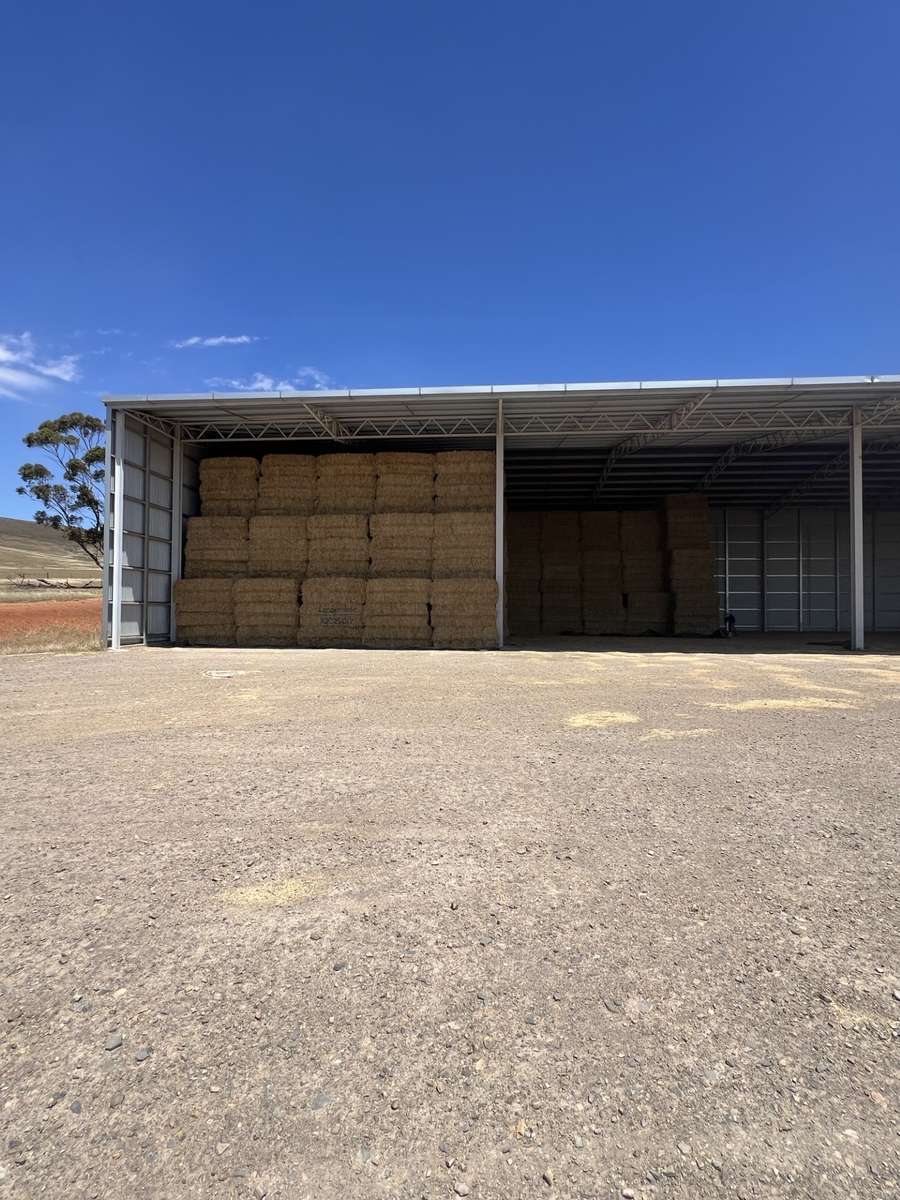 Batch 4990788000207871529 Image