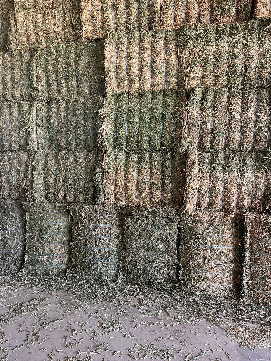 Batch 4990788000205552048 Image