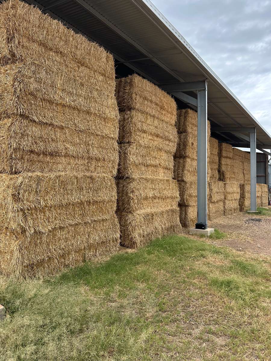 Batch 4990788000208855001 Image