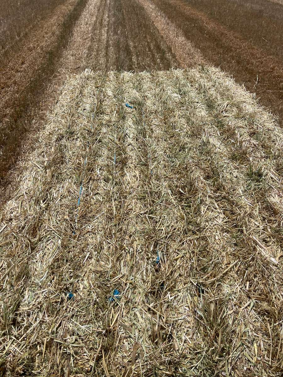 Batch 4990788000207871400 Image