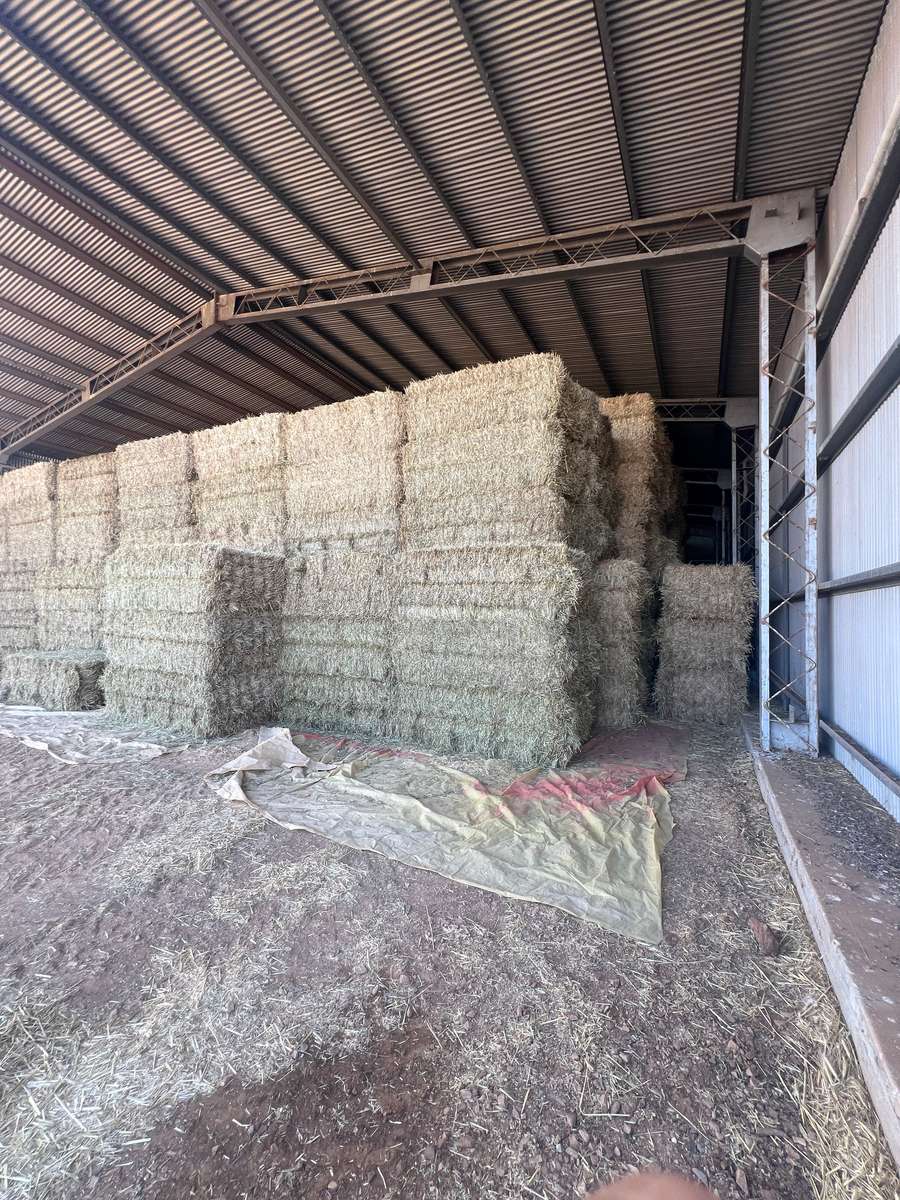 Batch 4990788000207748001 Image