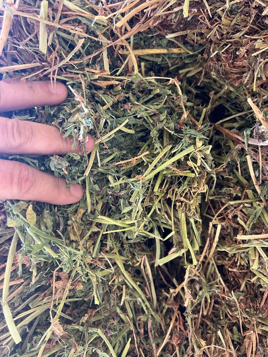 Batch 4990788000204230338 Image