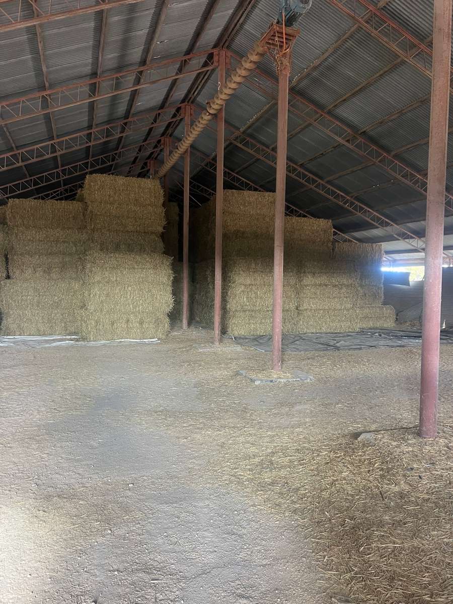 Batch 4990788000207297183 Image