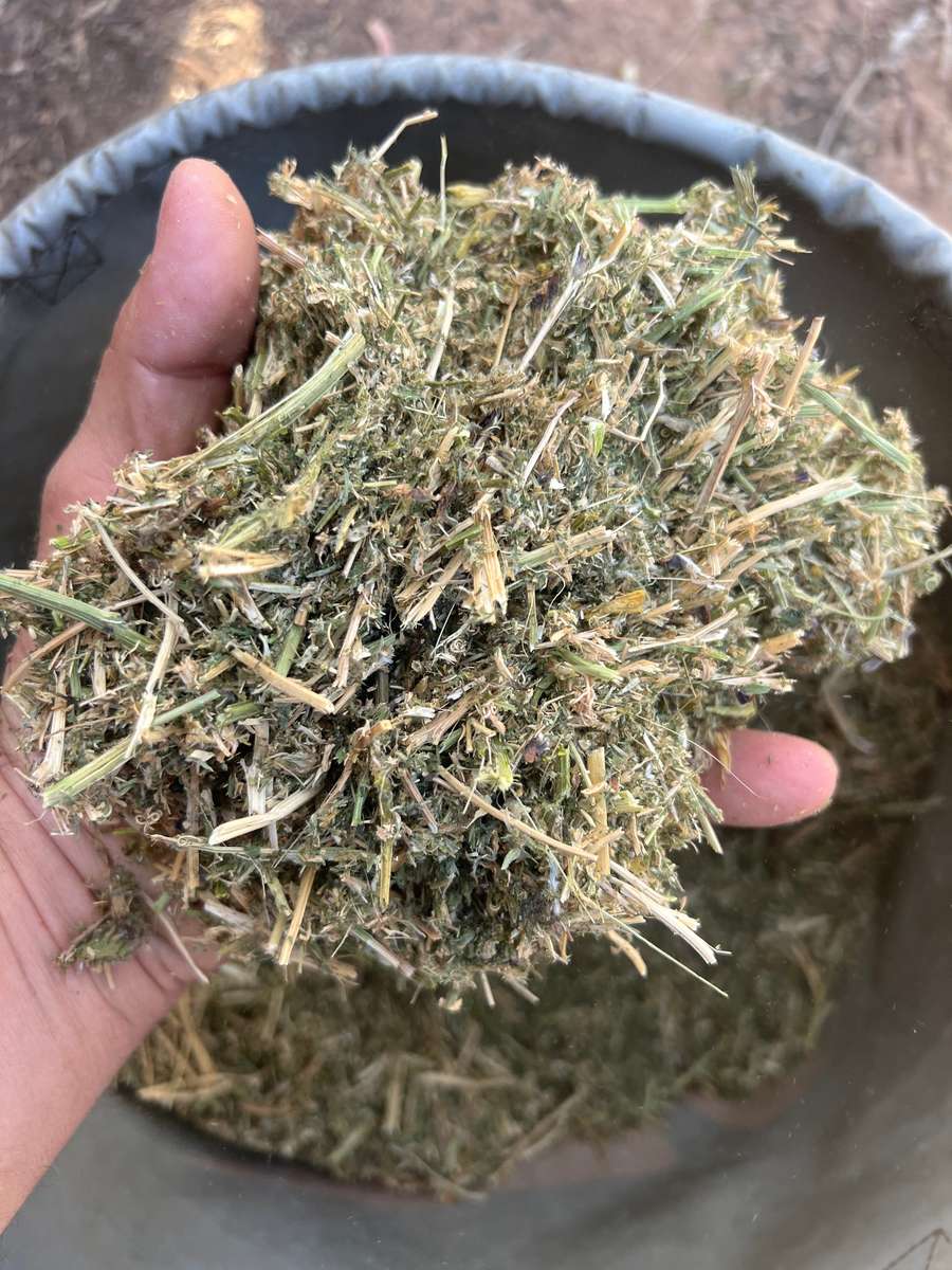 Batch 4990788000204916561 Image