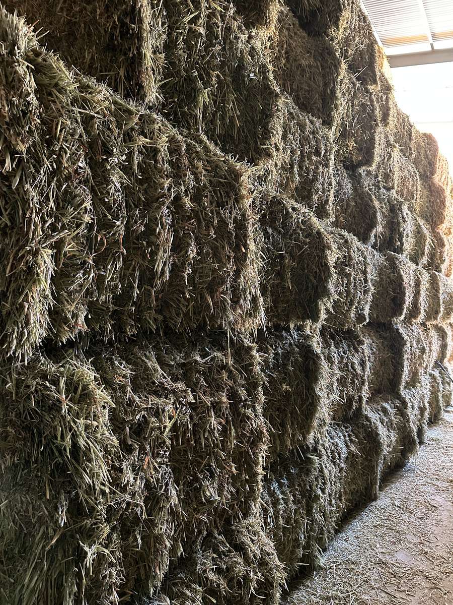 Batch 4990788000207551397 Image