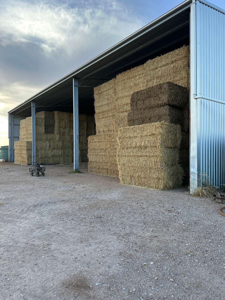 Batch 4990788000207872929 Image