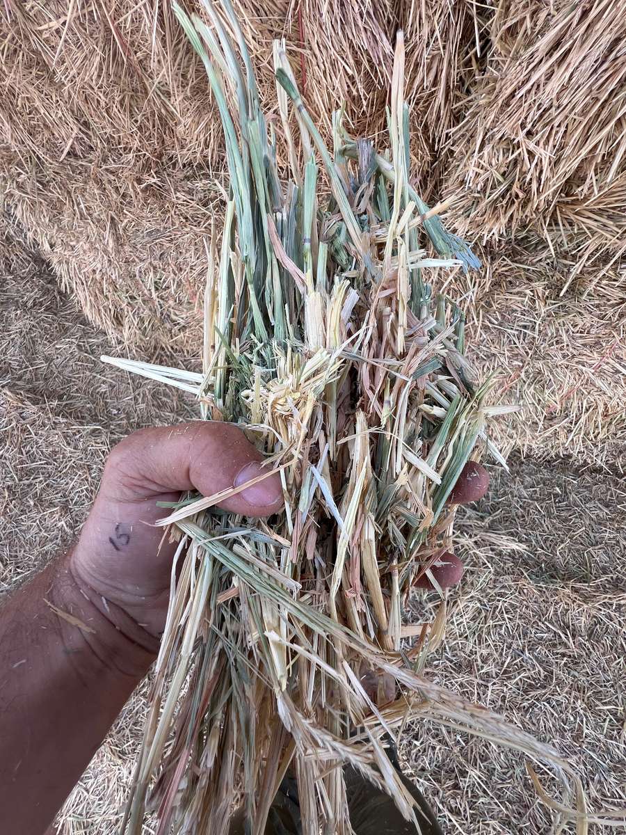 Batch 4990788000204971001 Image