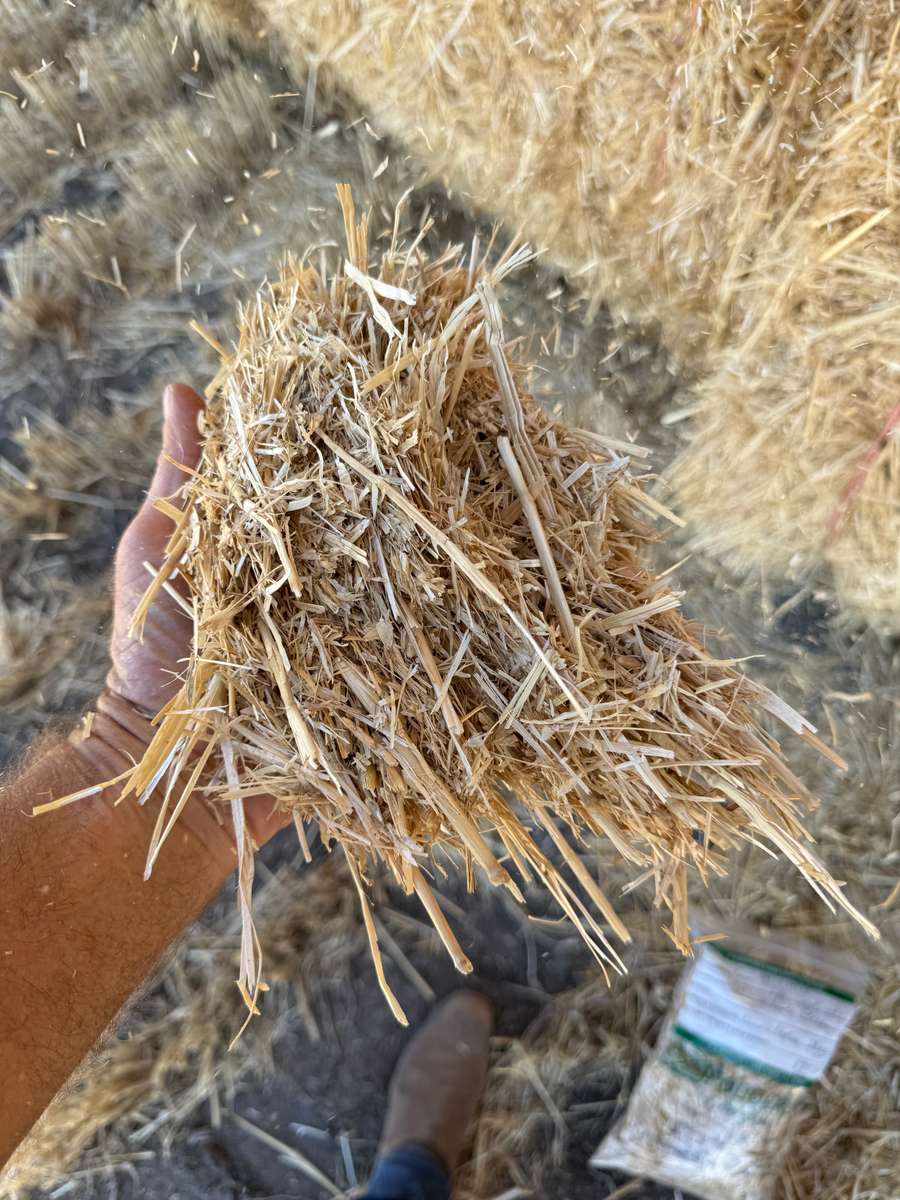 Batch 4990788000207946733 Image