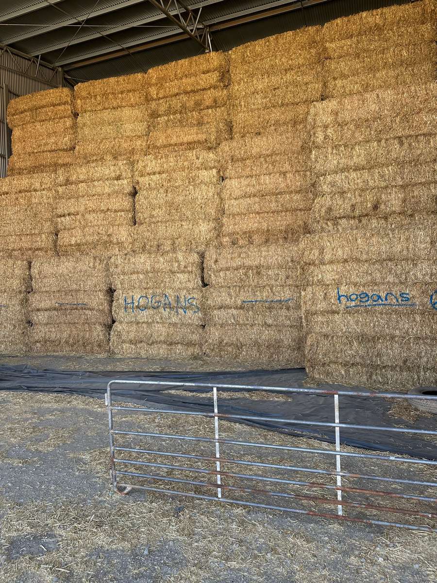 Batch 4990788000207853612 Image