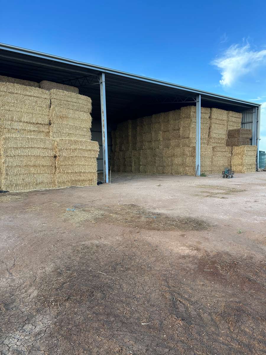 Batch 4990788000207872929 Image