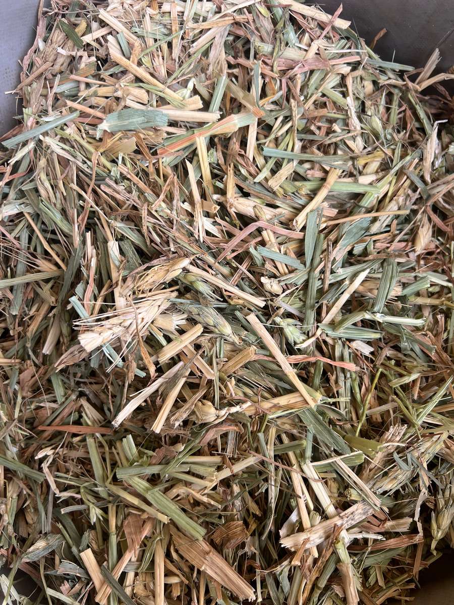 Batch 4990788000202540093 Image