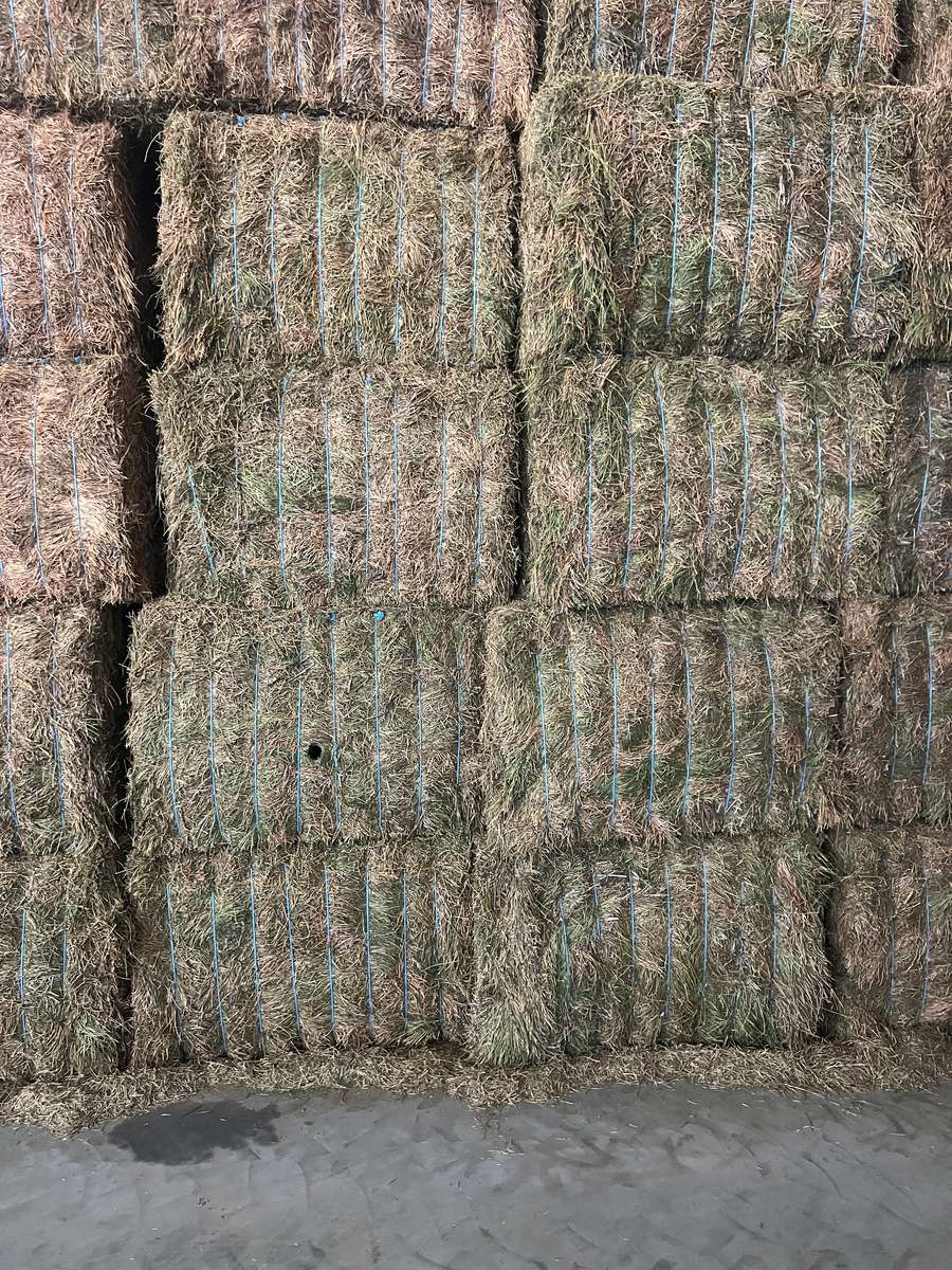 Batch 4990788000207526511 Image