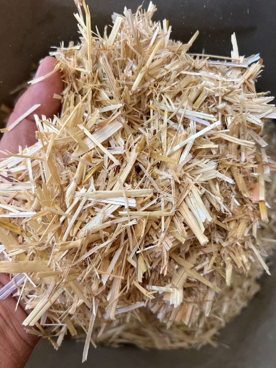 Batch 4990788000208656003 Image