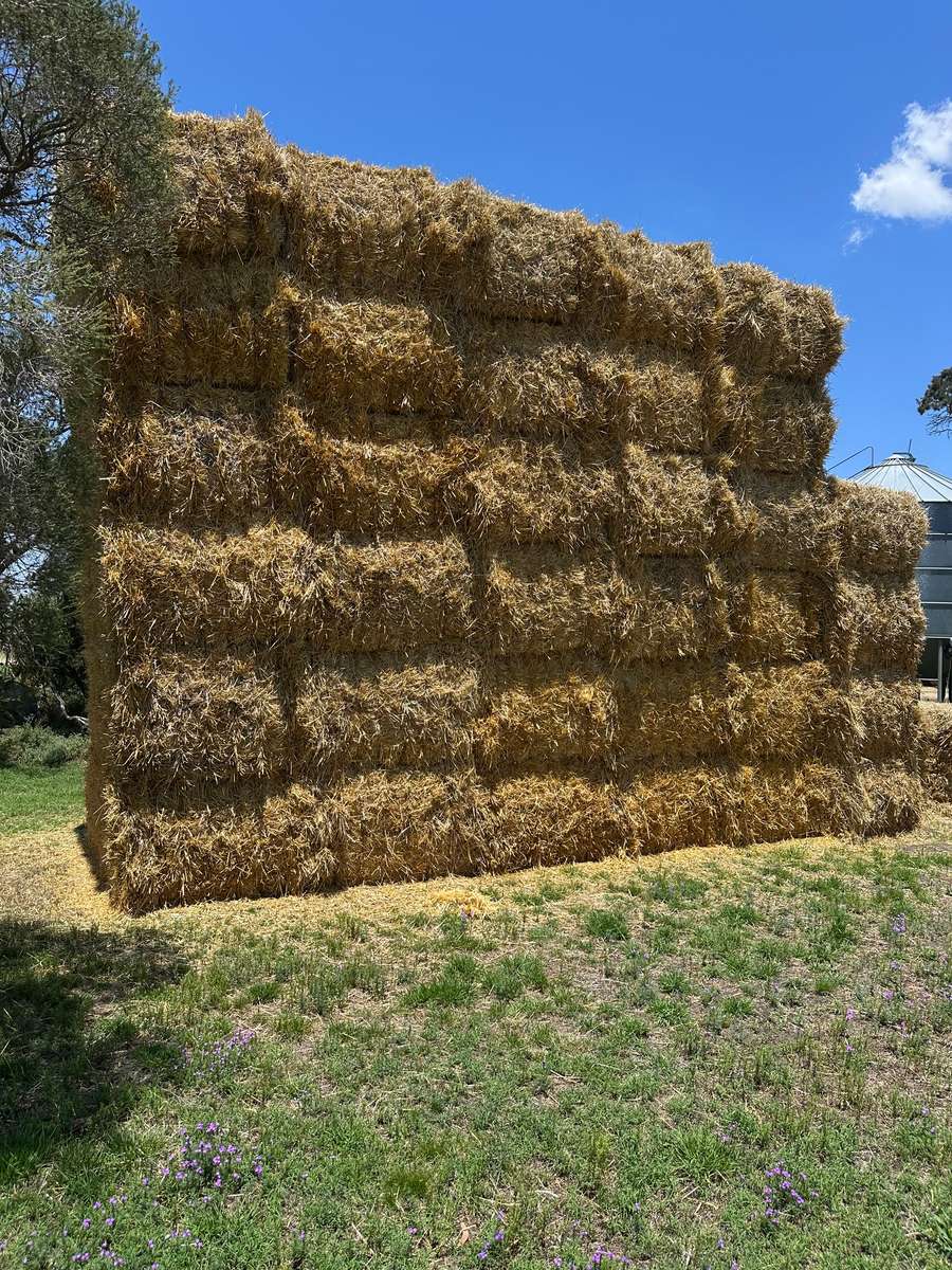 Batch 4990788000205843206 Image