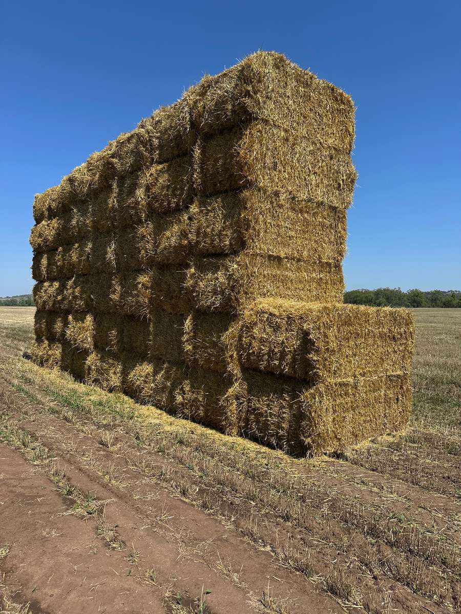 Batch 4990788000205847216 Image