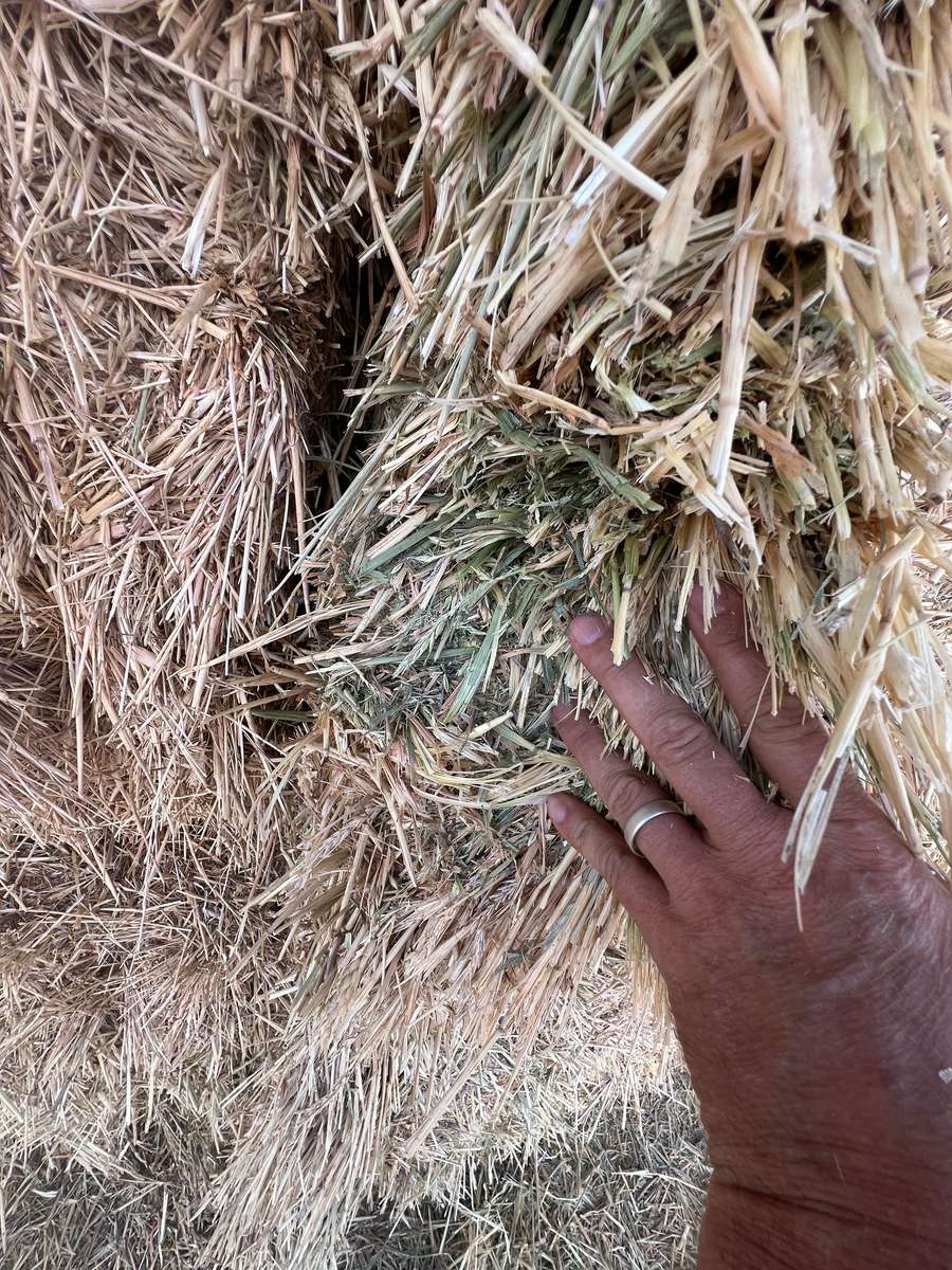 Batch 4990788000204971001 Image