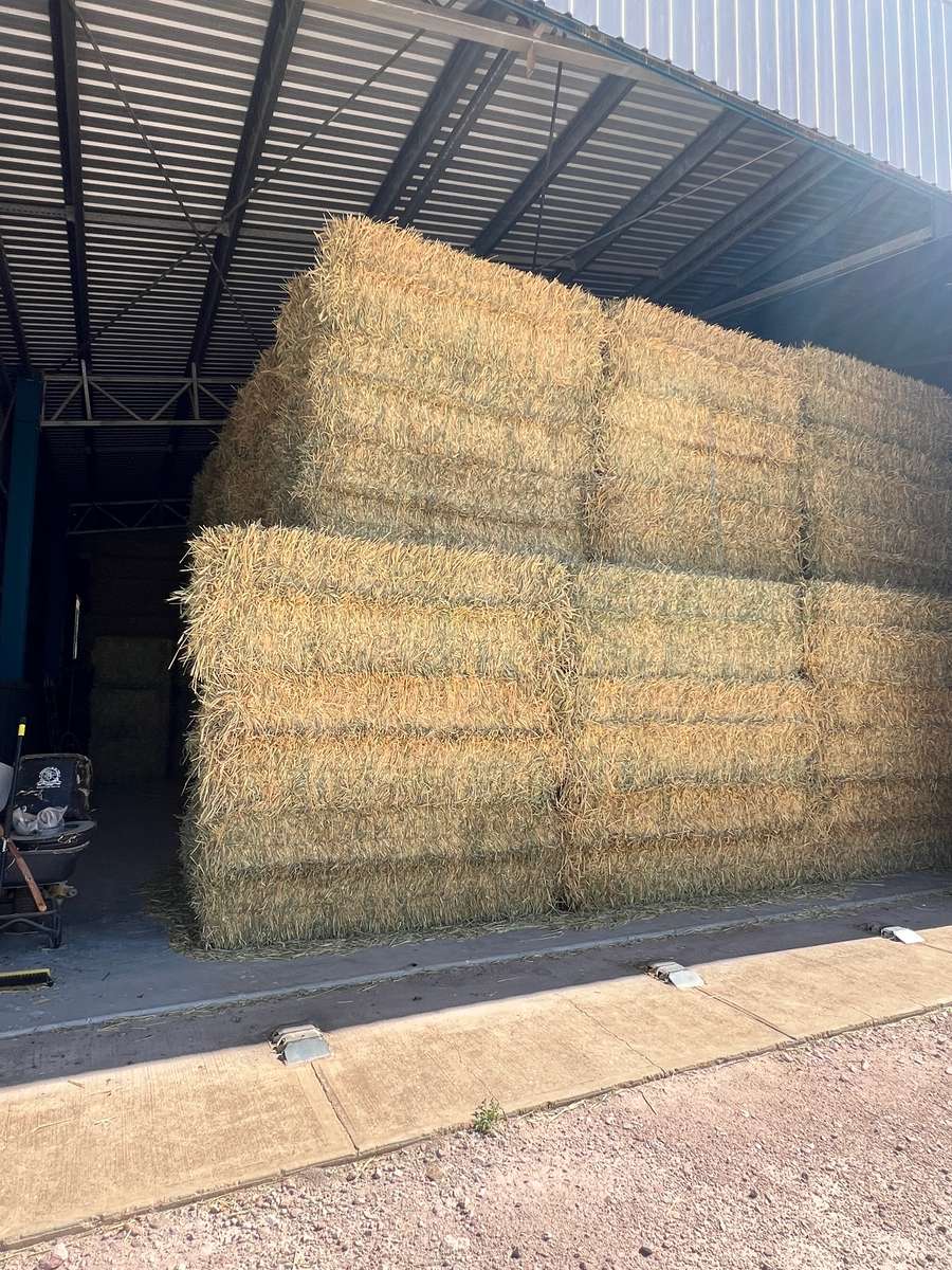 Batch 4990788000207685014 Image