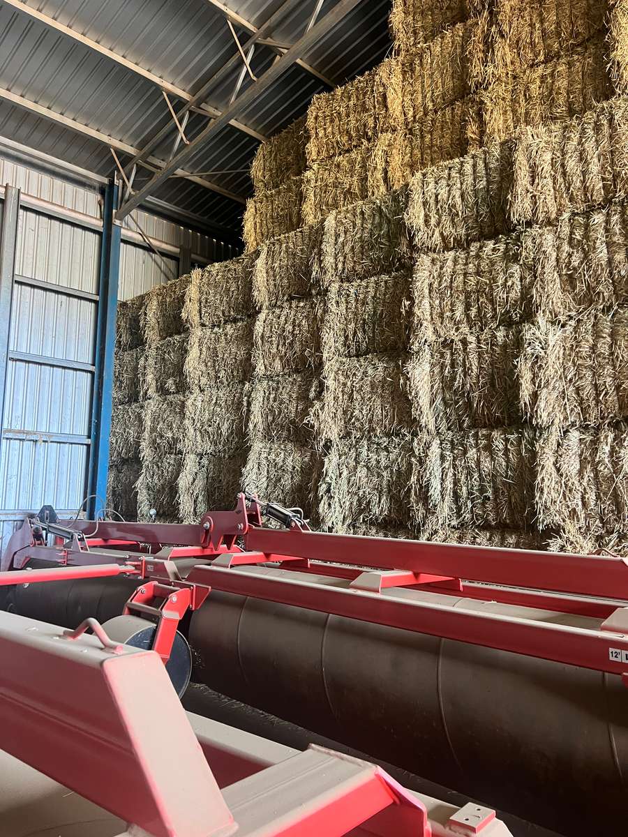 Batch 4990788000207846736 Image