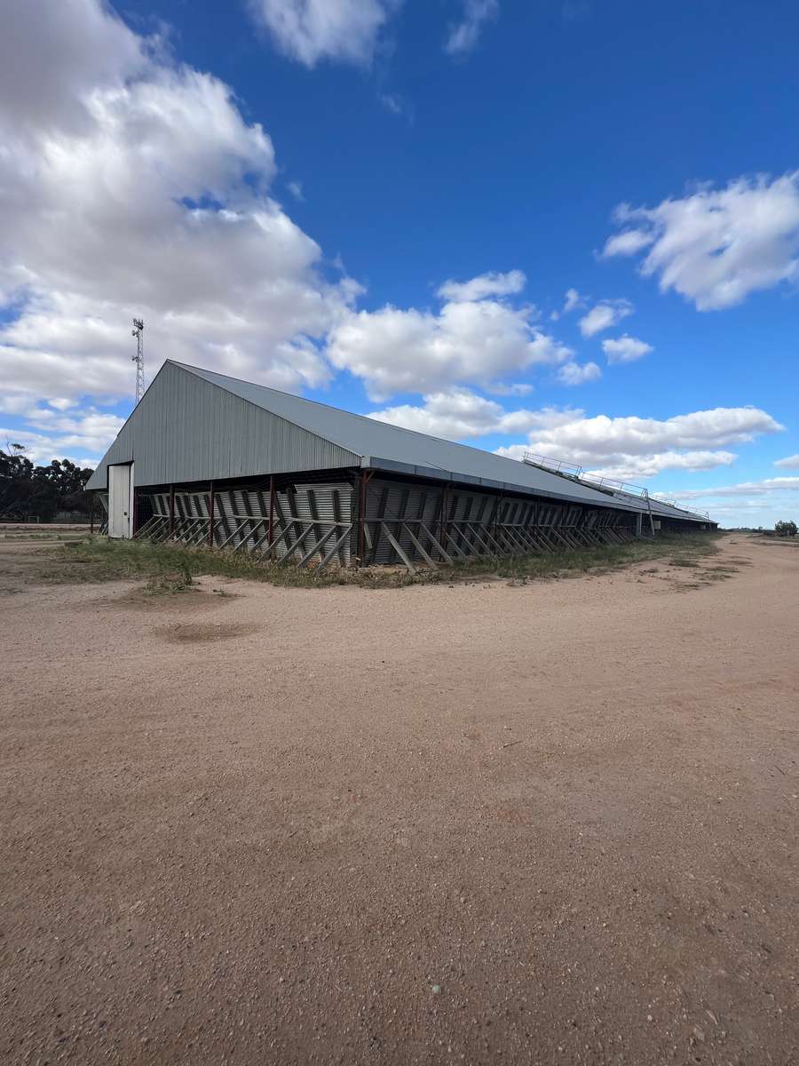 Batch 4990788000207297183 Image