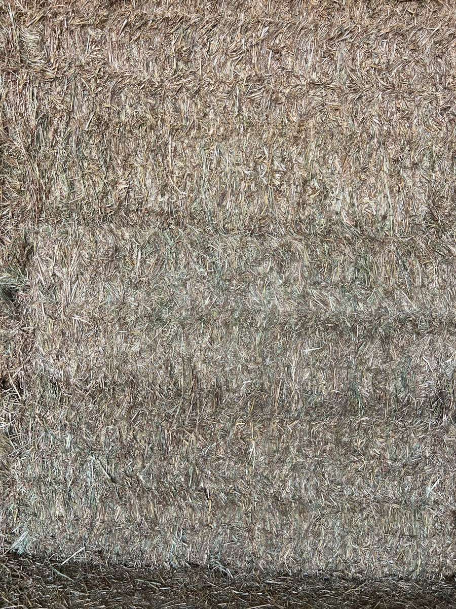 Batch 4990788000207676001 Image