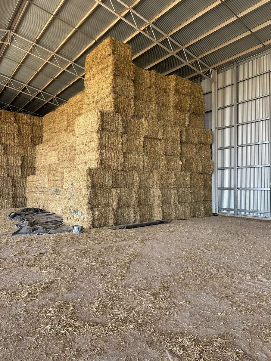 Batch 4990788000207854482 Image