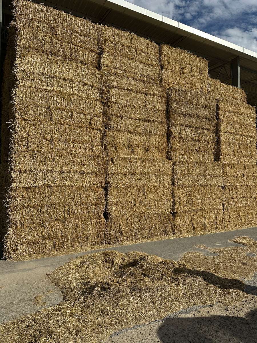 Batch 4990788000207942595 Image