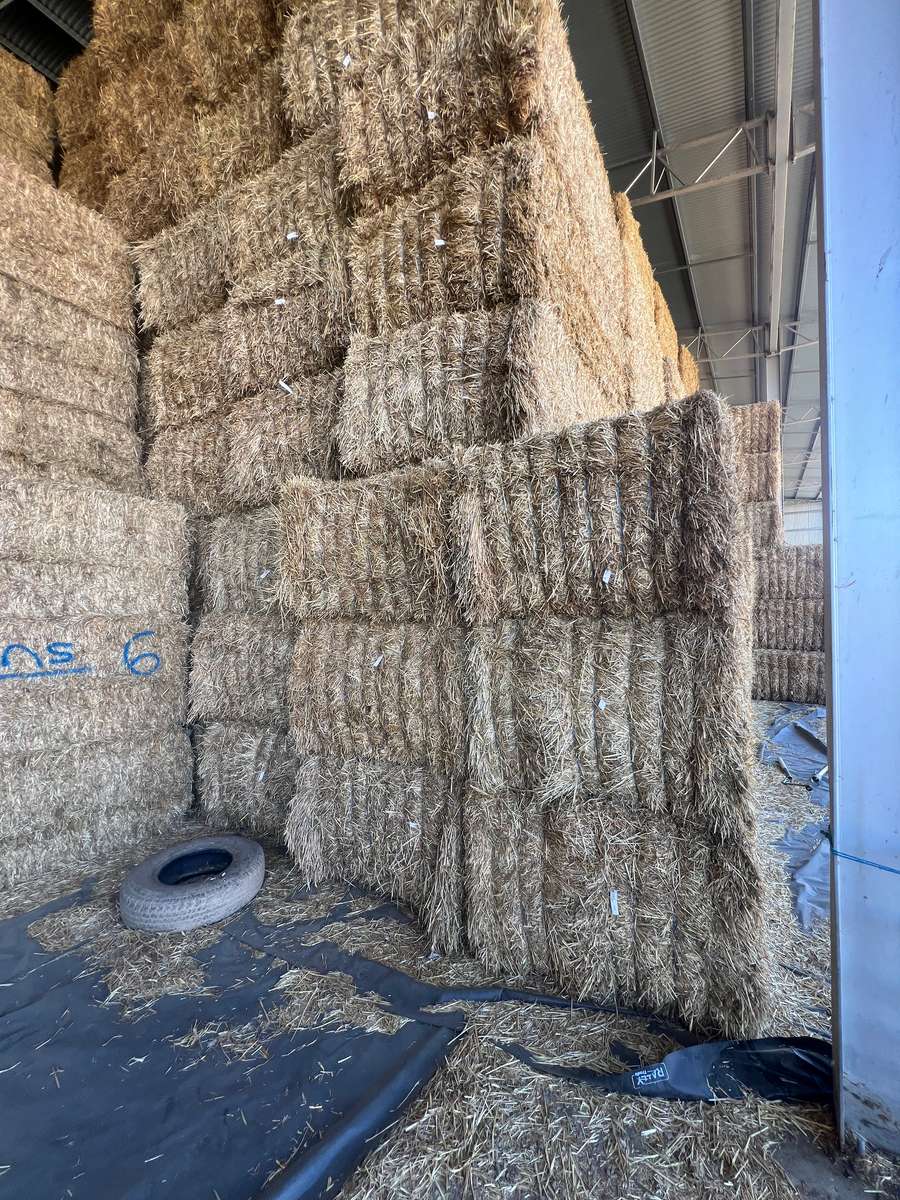 Batch 4990788000207854618 Image