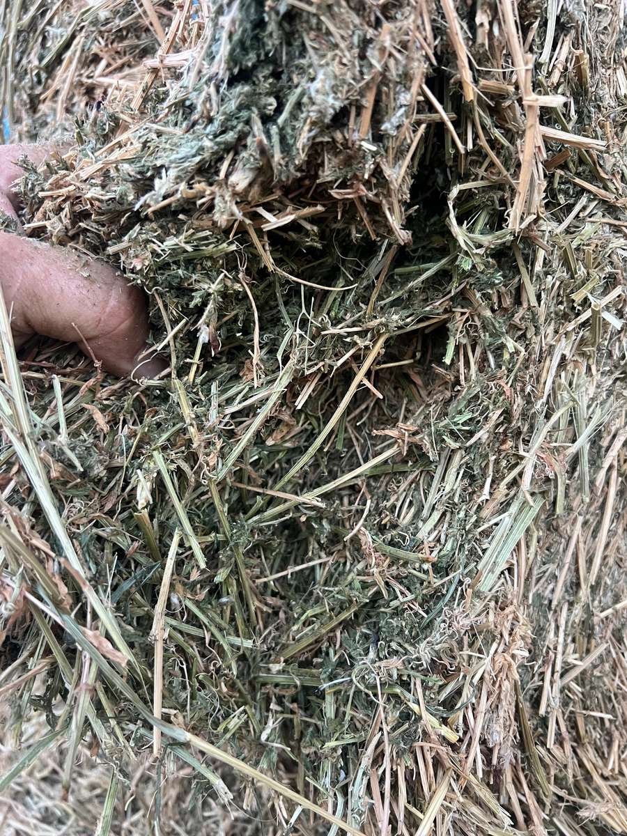 Batch 4990788000204916561 Image