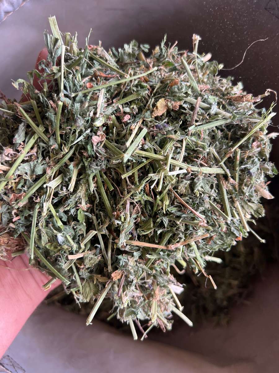 Batch 4990788000205552048 Image