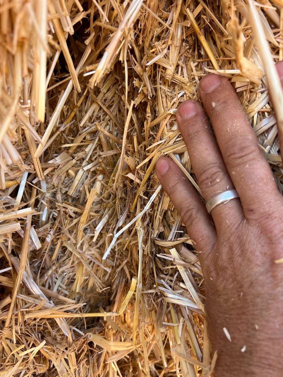 Batch 4990788000208656003 Image