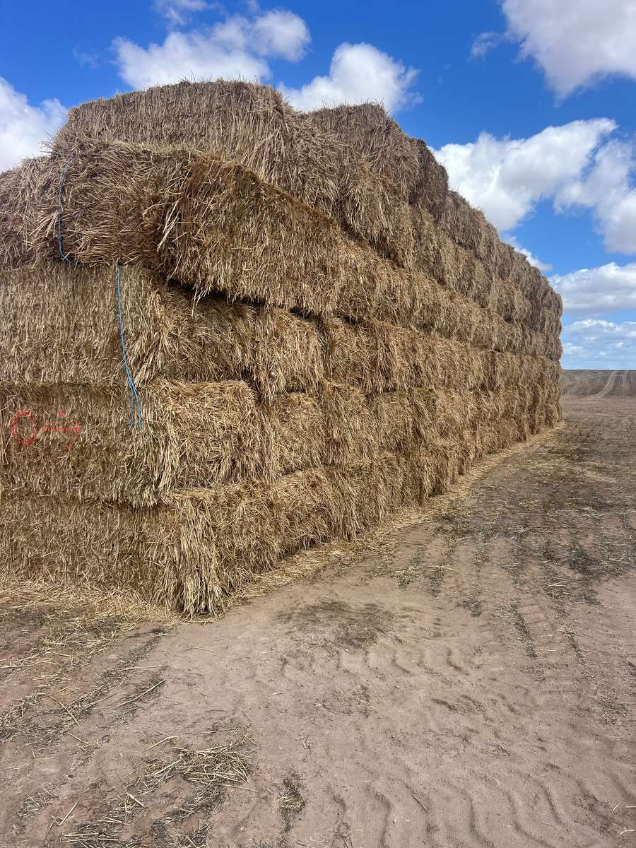 Batch 4990788000207314051 Image