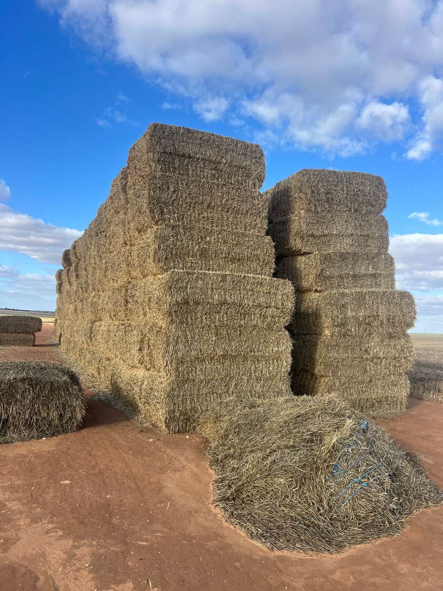 Batch 4990788000207293224 Image