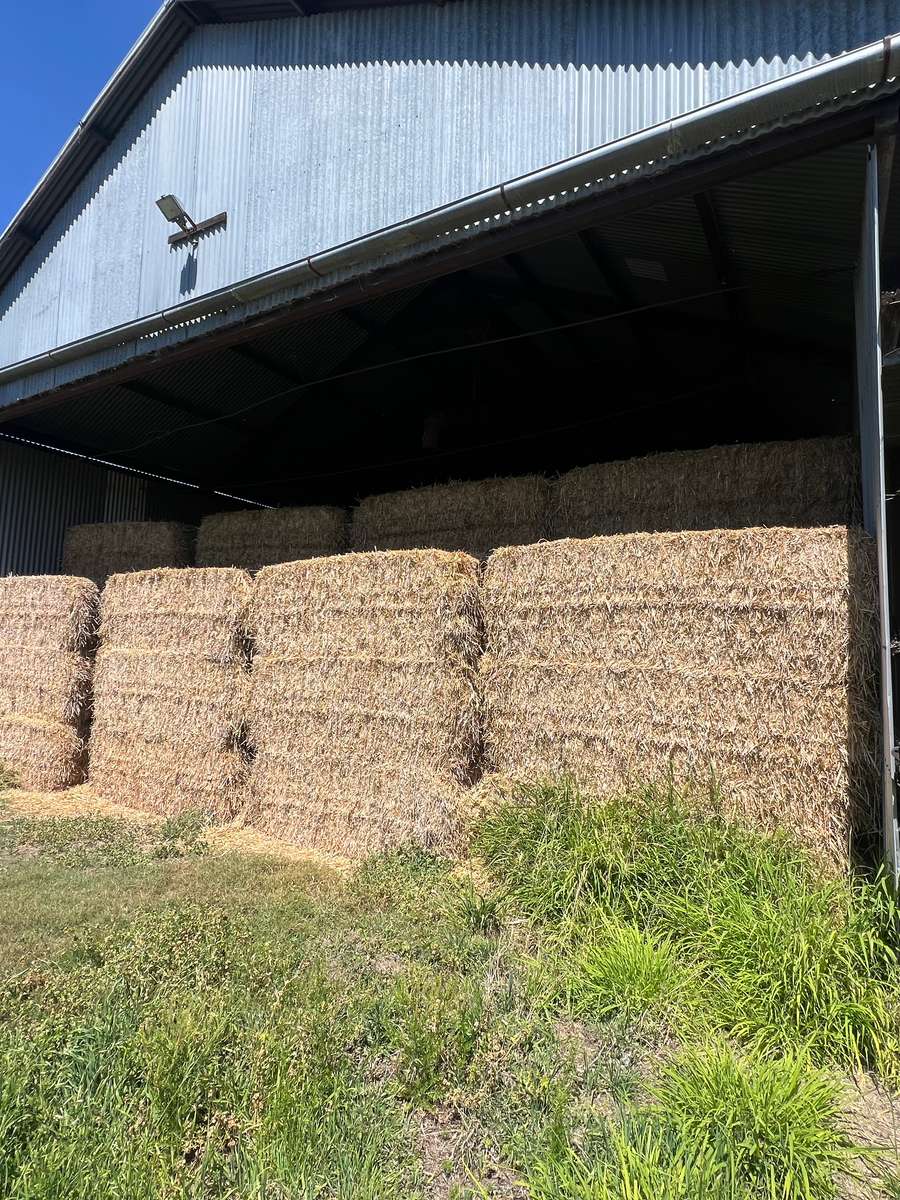 Batch 4990788000198061030 Image