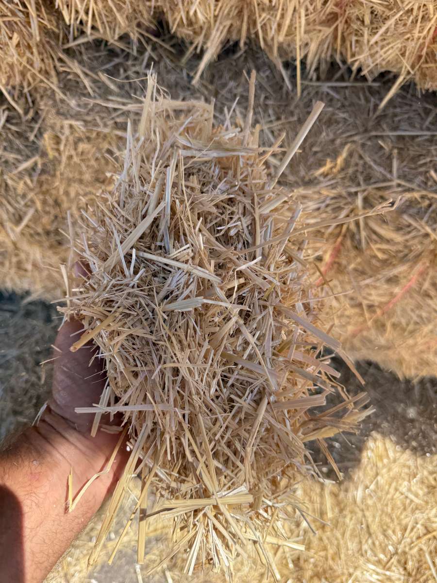 Batch 4990788000207946733 Image