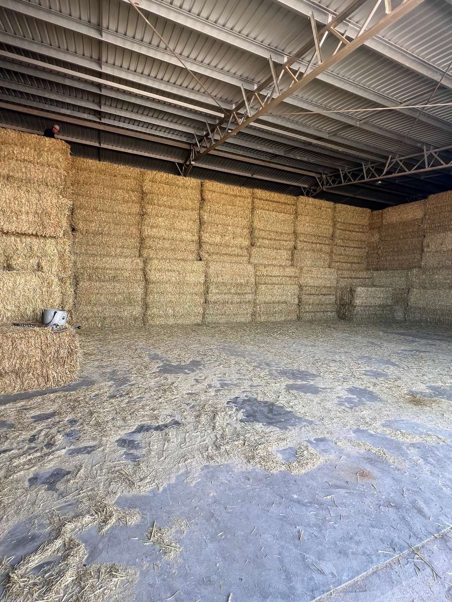 Batch 4990788000207676001 Image