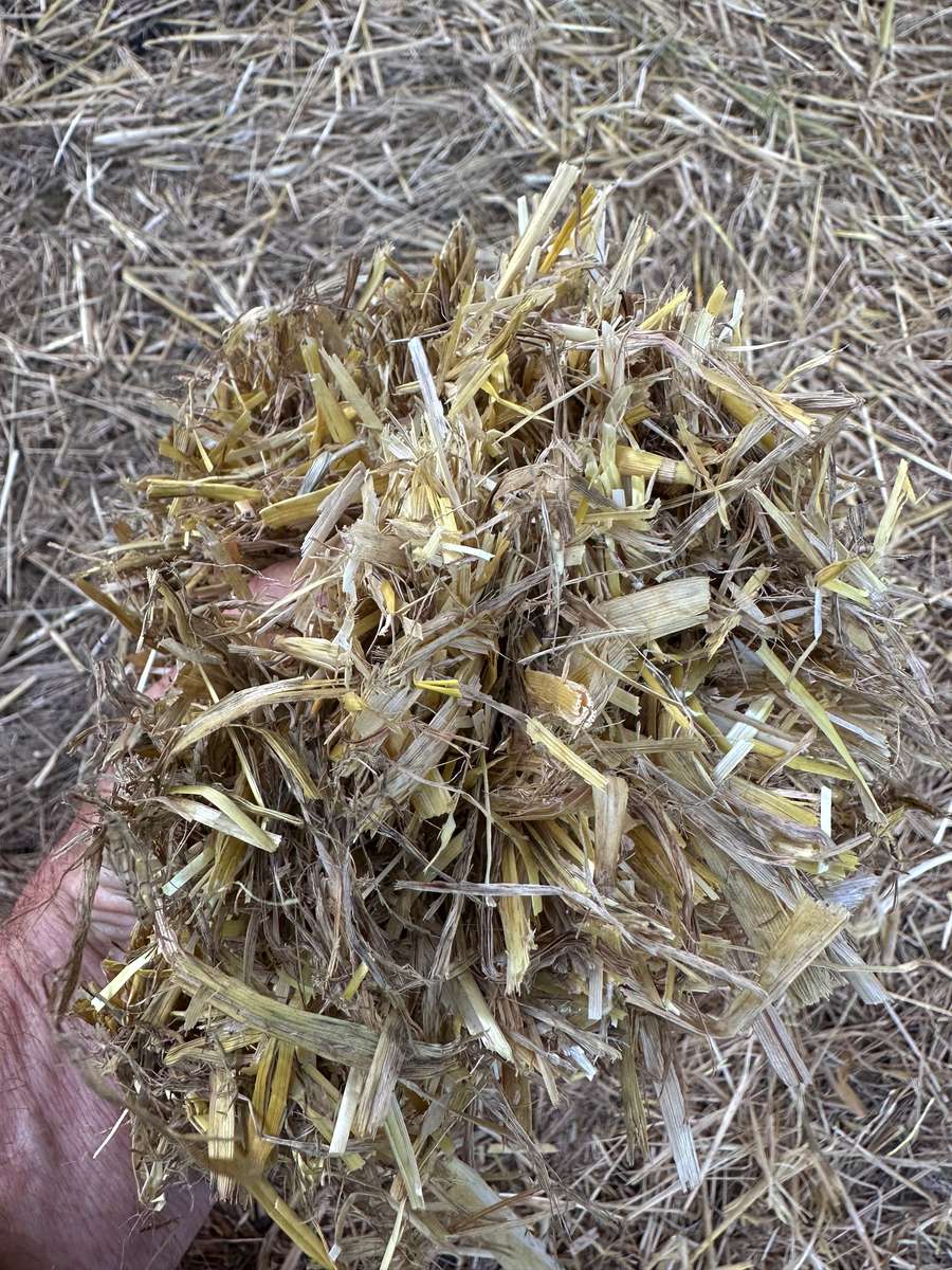 Batch 4990788000205392722 Image