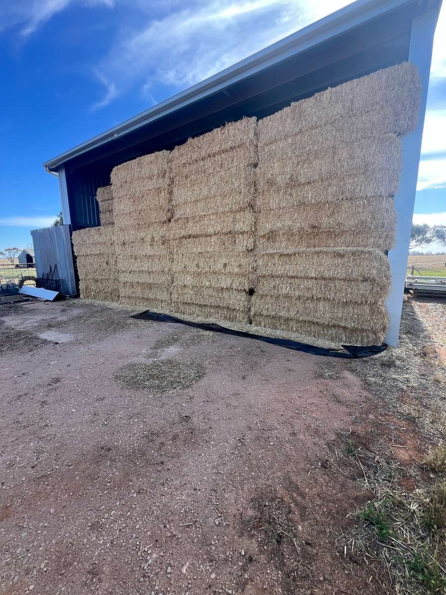 Batch 4990788000207727001 Image