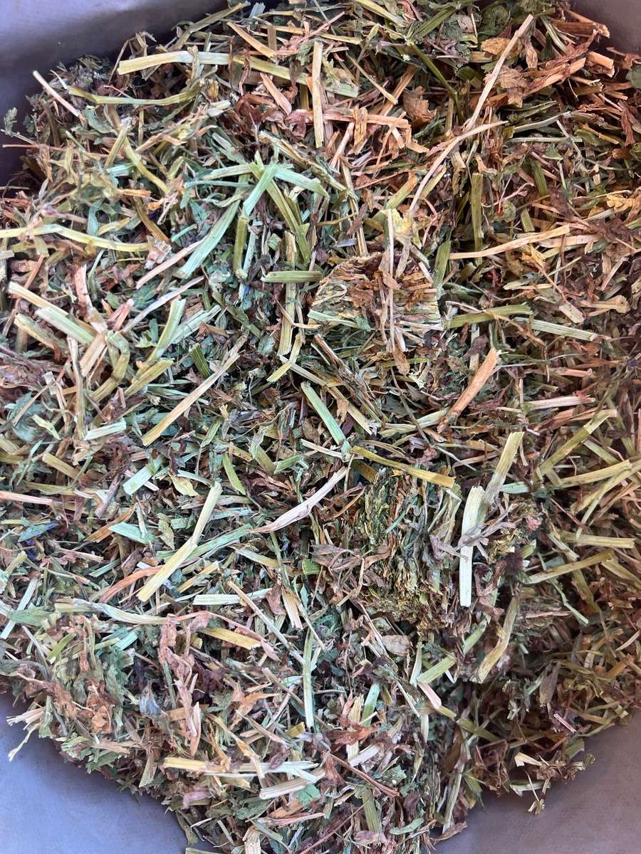 Batch 4990788000204230338 Image