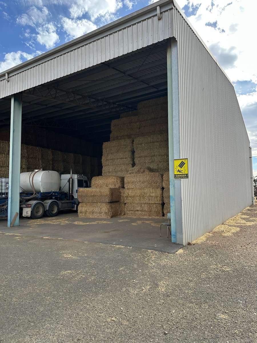 Batch 4990788000207868705 Image