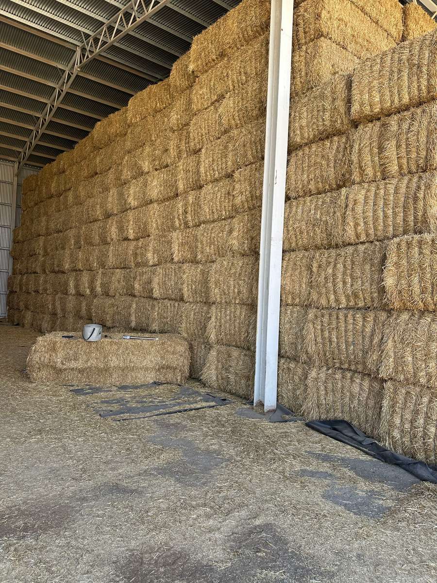 Batch 4990788000207852532 Image