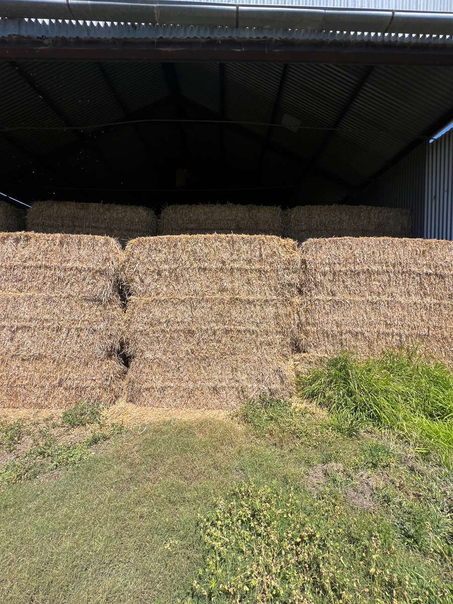 Batch 4990788000198061030 Image