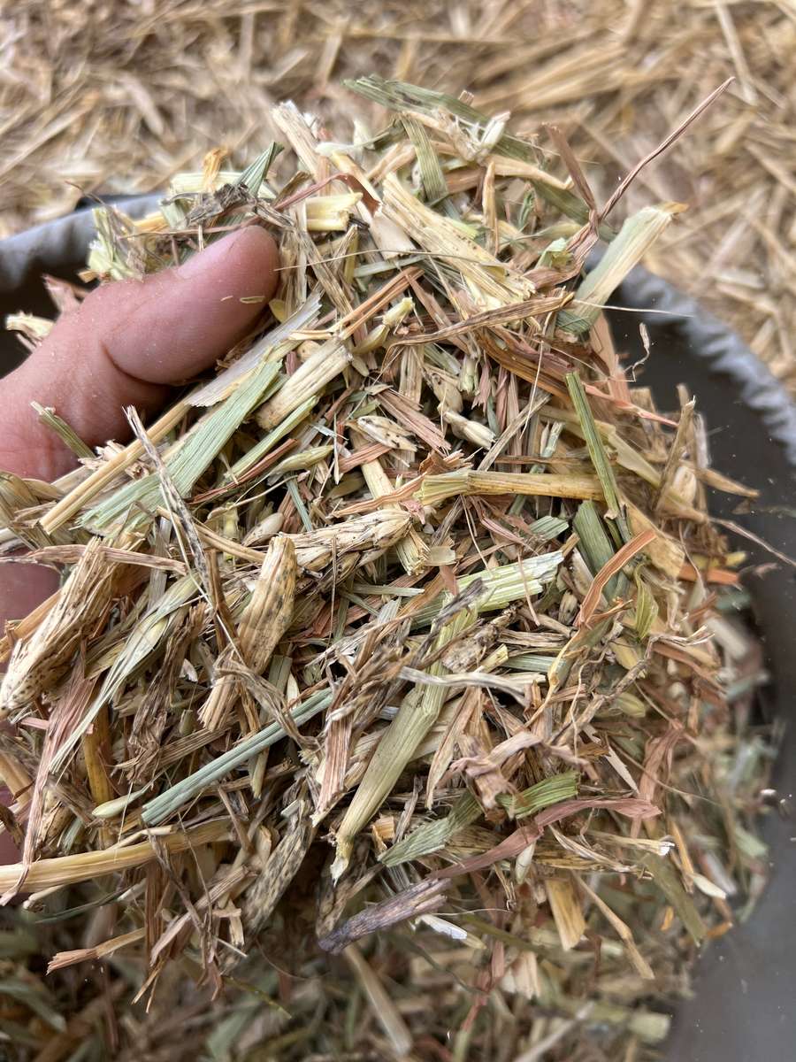 Batch 4990788000207545640 Image