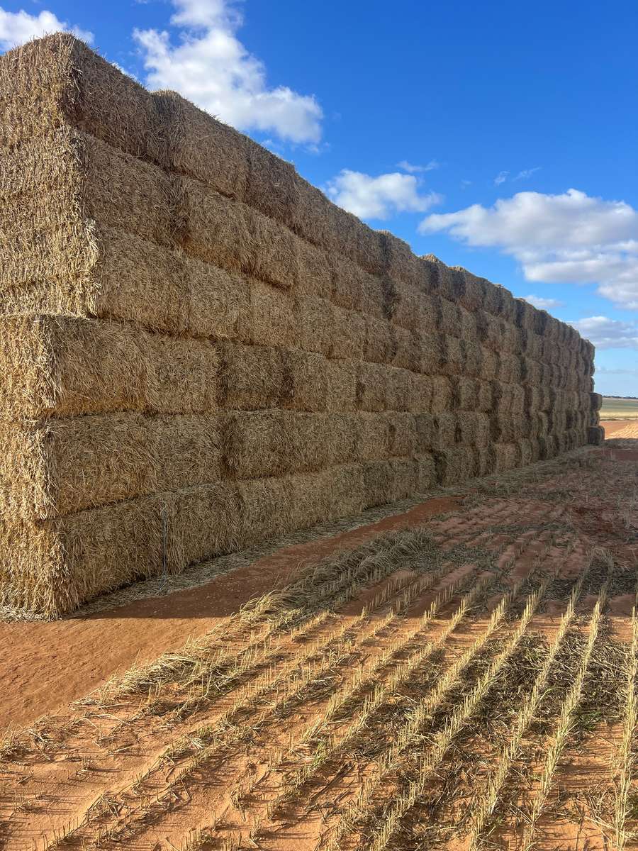 Batch 4990788000207293224 Image