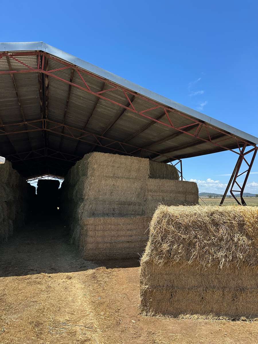 Batch 4990788000205179713 Image