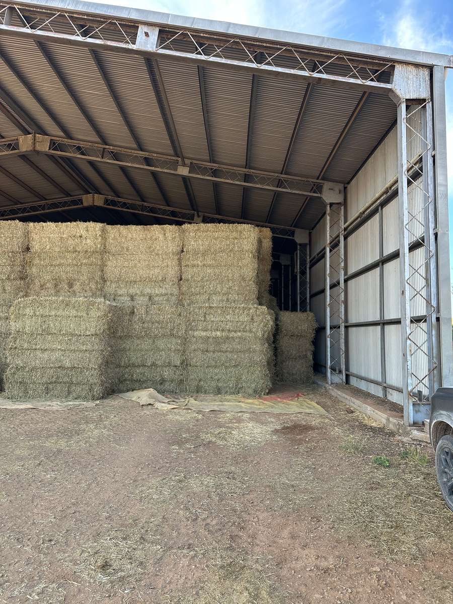 Batch 4990788000207738001 Image