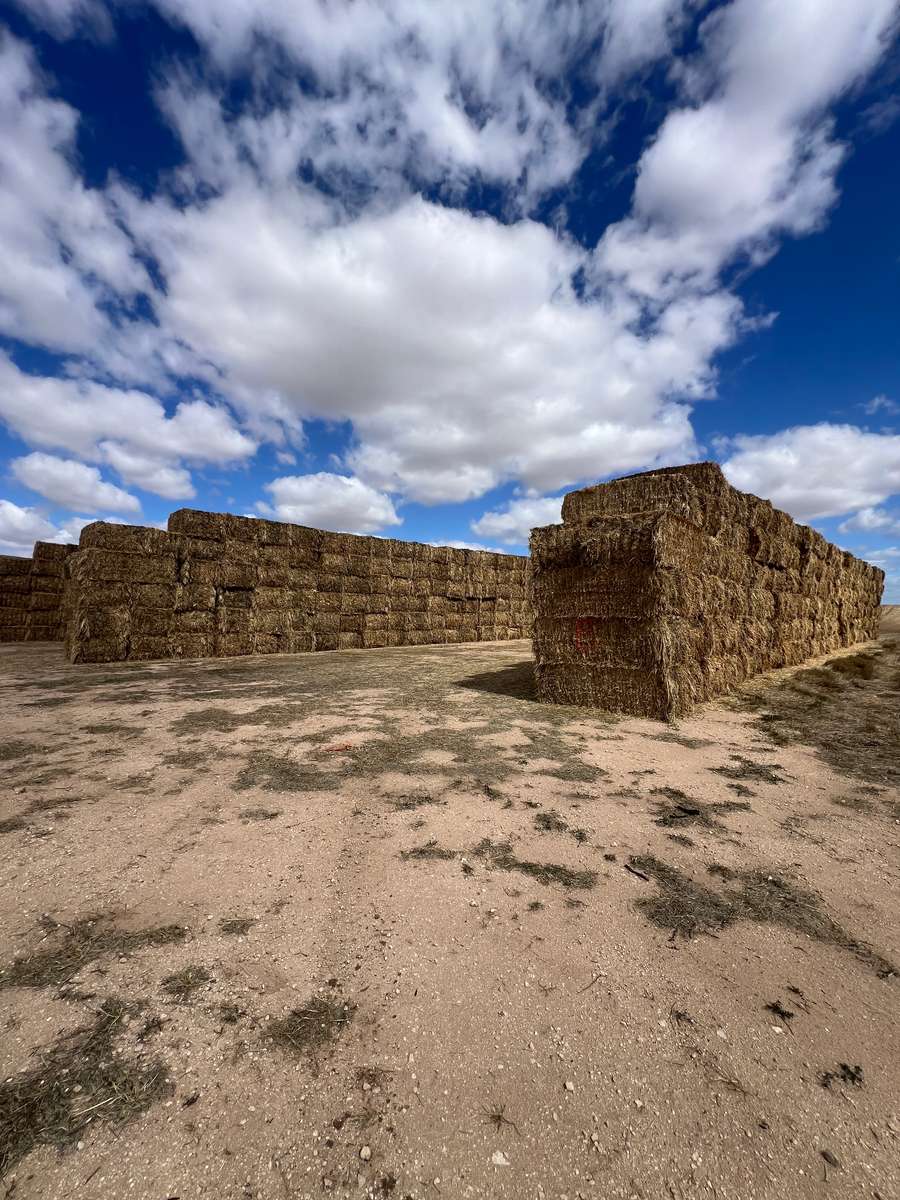 Batch 4990788000207313152 Image